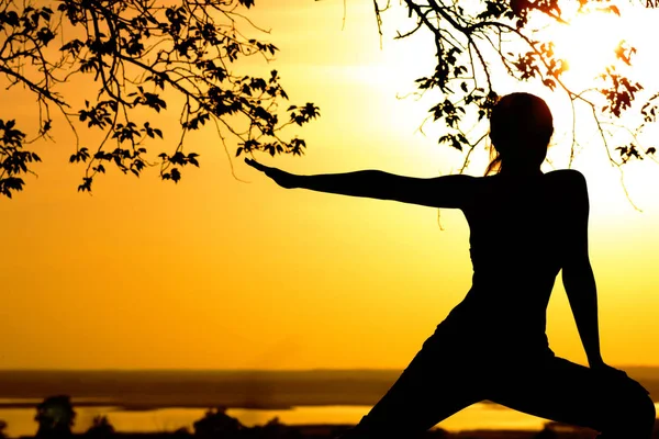 silhouette of a young woman engaged in fitness in nature at sunset, a sports female profile, the concept of sport and healhcare