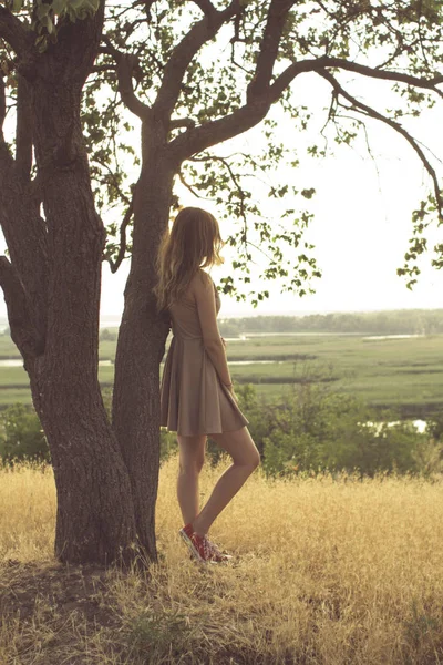 Красивая мечтательная девушка, гуляющая по полю в платье на закате, молодая женщина, наслаждающаяся летней природой, опирающаяся на ствол дерева — стоковое фото