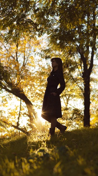 Silueta de una mujer joven que asciende en la colina al atardecer, figura chica en el paisaje de otoño en un vestido, el concepto de humano y la naturaleza — Foto de Stock