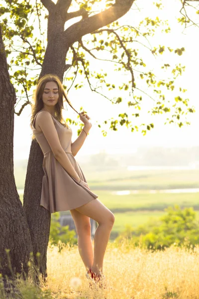 Bela menina sonhadora andando em um campo em um vestido ao pôr do sol, uma jovem mulher desfrutando da natureza de verão apoiada em um tronco de árvore — Fotografia de Stock