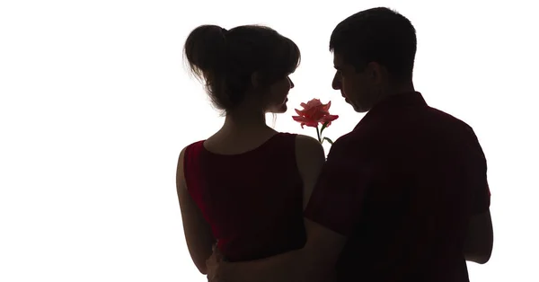 Perfil silhueta de um cara e menina olhando uns para os outros em fundo isolado branco, um homem com uma flor de rosa para uma mulher abraçando-a para trás, amor conceito e romance — Fotografia de Stock