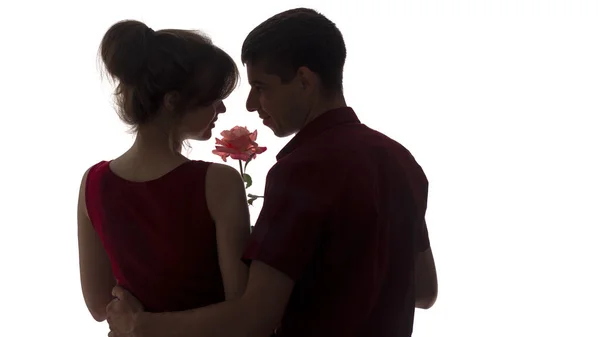 Silhouette profile of a young couple sensually bowed their heads to the bud of a rose on white isolated background, boy and girl in romance, concept love — Stock Photo, Image