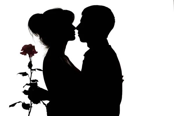 Silueta unui cuplu tânăr îndrăgostit pe fundal alb izolat nas la nas, bărbat care deține o floare de trandafir și îmbrățișează o femeie, concept dragoste, relații calde — Fotografie, imagine de stoc