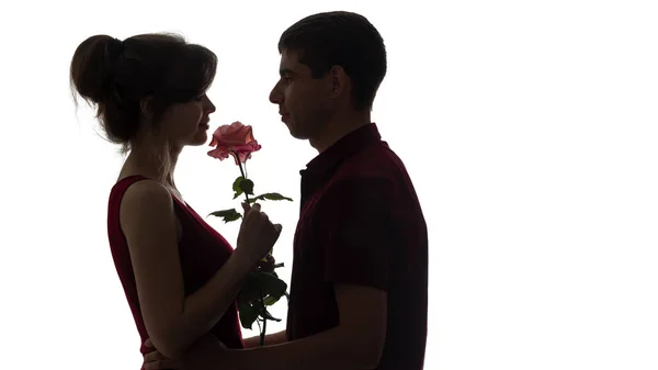 Silhuett av ett ungt par i kärlek på vit isolerad bakgrund, mannen ger en kvinna en ros blomma, koncept kärlek — Stockfoto
