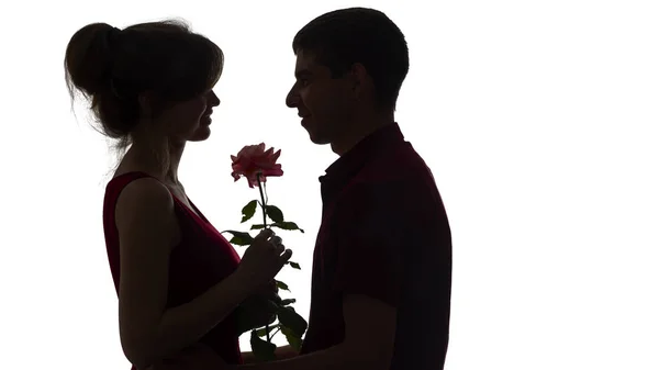 Silhouette of a young couple in love on white isolated background, man gives a woman a rose flower, concept love — Stock Photo, Image