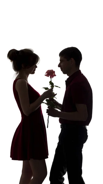 Silhouette of a young couple in love on white isolated background, man gives a woman a rose flower, concept love — Stock Photo, Image