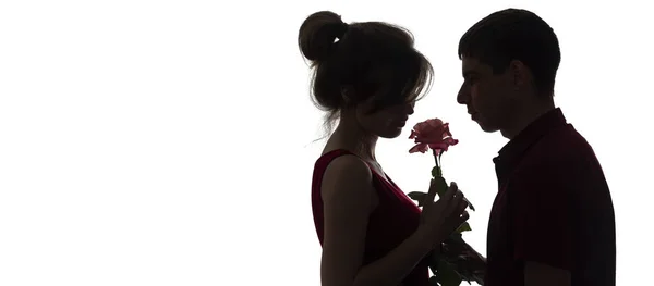 Профиль силуэта молодой пары влюбленной на белом изолированном фоне, мужчина дарит женщине цветок розы, концепцию любви и романтики — стоковое фото