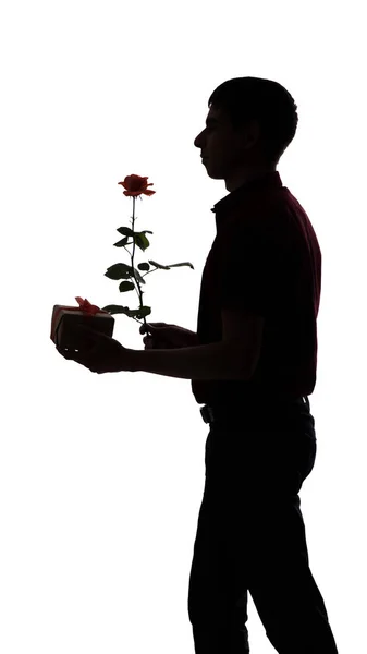 Silhouet Profiel van een man met een geschenkdoos en een roos bloem voor zijn geliefde, de man feliciteert op witte geïsoleerde achtergrond, concept Holidays, zorg, liefde, romantiek — Stockfoto