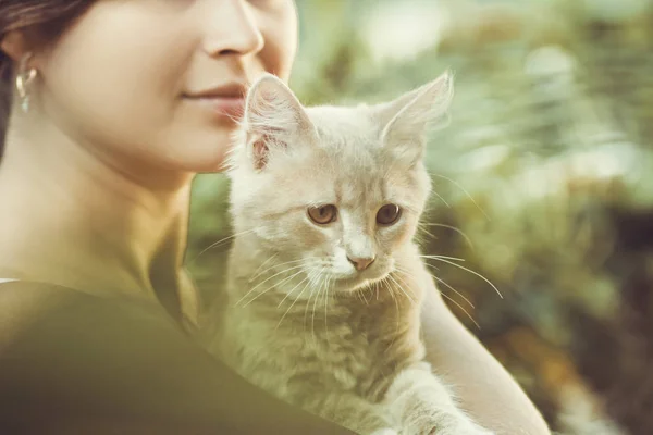 Gatinho brincalhão bonito nos braços de uma menina, um gato de gengibre leva carícia de mãos femininas, uma mulher e um gato andando no jardim de verão — Fotografia de Stock
