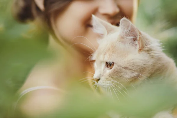 Gatinho brincalhão bonito nos braços de uma menina, um gato de gengibre leva carícia de mãos femininas, uma mulher e um gato andando no jardim de verão — Fotografia de Stock