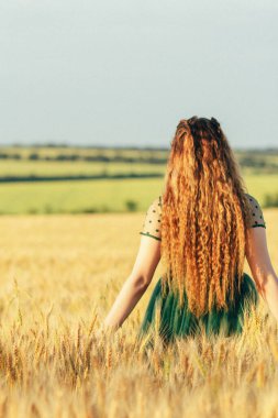 Yeşil elbiseli arka plandaki kadın buğday tarlasında yürüyor uzun saçlı kız yaz doğasının, kırsal alanının tadını çıkarıyor.