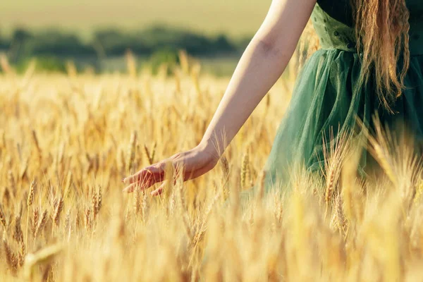 美丽的女人穿着绿色的衣服走在田野里 在夕阳西下用手触摸麦穗 女孩欣赏着夏日的自然风光 — 图库照片