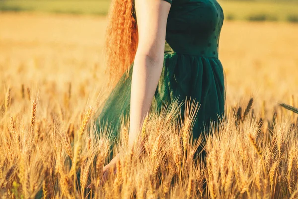 緑のドレスの美しい女性がフィールドに歩いて 日没の光で手で小麦の耳に触れ 女の子は夏の自然景観を楽しんで — ストック写真