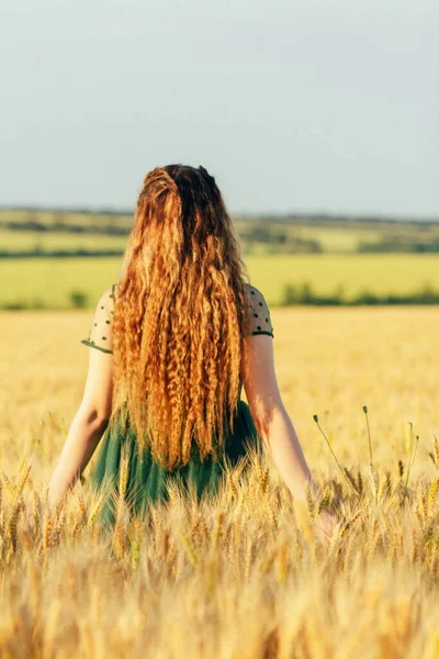 back figure woman in green dress walking in field of wheat girl with long hair enjoying summer nature, countryside landscape