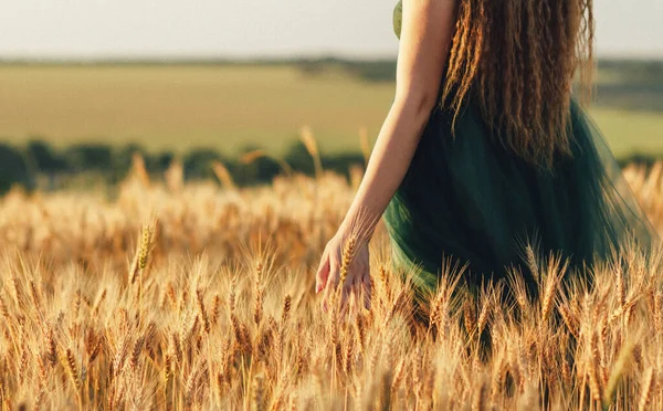 Женщина Зеленом Платье Ходит Полю Трогает Уши Пшеницы Рукой Закате — стоковое фото