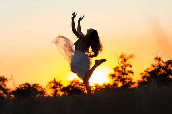Silhouette Eines Schönen Mädchens Kleid Bei Sonnenuntergang Horizont Mit Bäumen — Stockfoto