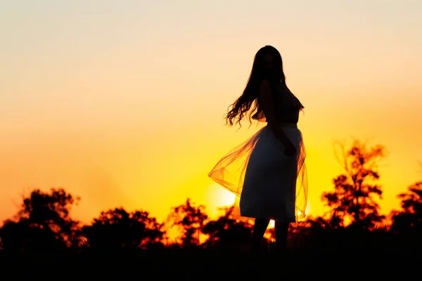 Figura Silhouette Bella Ragazza Sognante Abito Tramonto Campo Giovane Donna — Foto Stock