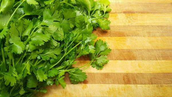 Bouquet Coriandre Fraîche Pour Trancher Préparer Salade Sur Plateau — Photo