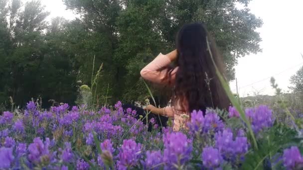 一个年轻的女孩坐在一个美丽的田野与薰衣草花 休息和玩长黑头发 享受天上的风景 空气从树上飞下来 仿佛在夏天它下雪 — 图库视频影像