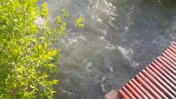 Bistroe Rivier Zomer Met Brug Zichtbaar Één Richting Een Deel — Stockvideo