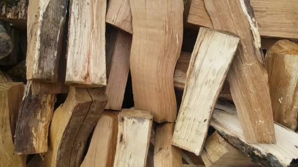 Kusy Dřevěné Hromady Dřeva Dvoře Rozřezané Připravené Pro Spalování Troubách — Stock video