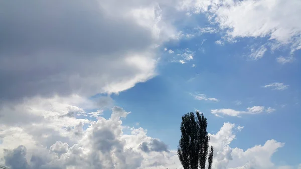 Bulutlar Ağaçların Güzel Arka Plan Beyaz Bulutlar Mavi Gökyüzü Açıkça — Stok fotoğraf