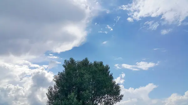 Όμορφο Φόντο Από Σύννεφα Και Δέντρα Σαφώς Ορατές Γραμμές Λευκών — Φωτογραφία Αρχείου