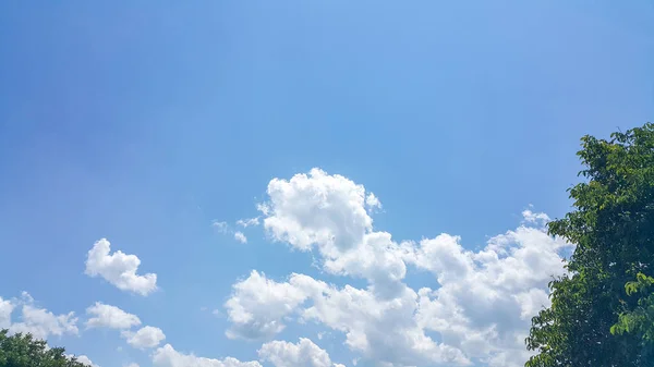 Bellissimo Sfondo Nuvole Alberi Linee Chiaramente Visibili Nuvole Bianche Cielo — Foto Stock