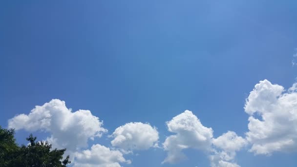 Mooie Achtergrond Van Wolken Bomen Duidelijk Zichtbare Lijnen Van Witte — Stockvideo