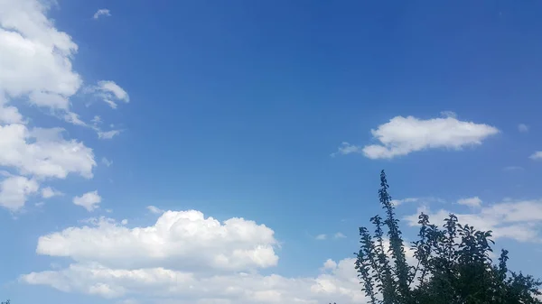 Bellissimo Sfondo Nuvole Alberi Linee Chiaramente Visibili Nuvole Bianche Cielo — Foto Stock