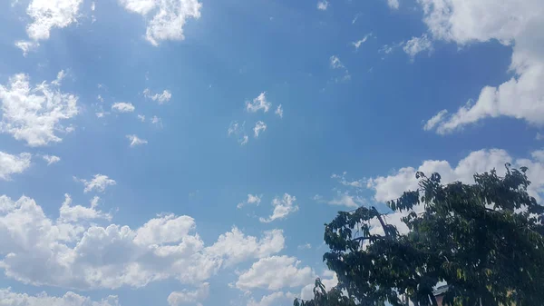 Beautiful Background Clouds Trees Clearly Visible Lines White Clouds Blue — Stock Photo, Image