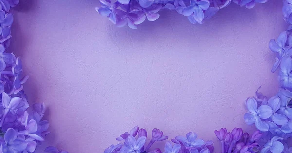 Morumsu arka planda leylak çiçekleri. Bahar çiçekleri. Üst manzara, düz yatış. Kopya alanı ile bahar konsepti. Facebook reklamları.