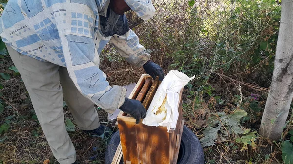 Apicultor Roupa Trabalho Protetora Segurando Favo Mel Cheio Abelhas Conceito — Fotografia de Stock