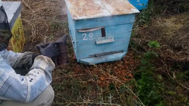 Beekeeper Human Beekeeper Who Works Chimney Beeper Smokehouse Device Repel — Stock Video