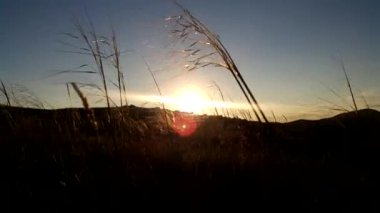 Güzel ve göz kamaştırıcı gün batımı. Güneş dağların arkasında batar, gökyüzünde güzel renkler yaratır. İleride, çimenler yumuşak bir rüzgarla dalgalanır. 4K video. Günbatımı anti-stres.