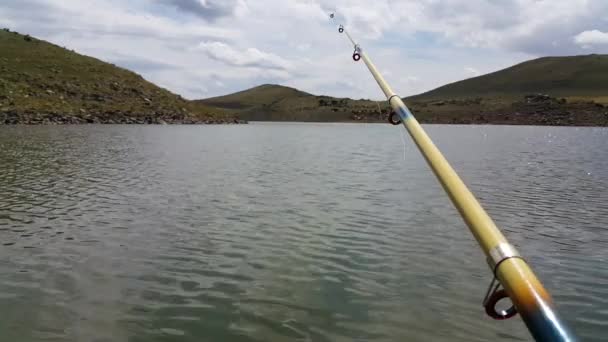 Pescar Lago Caña Pescar Fondo Del Lago Agua Lago Mueve — Vídeos de Stock