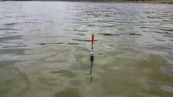 釣りは水の中に浮かんでいます 湖でのレクリエーション 釣りの概念 釣り道具だ 趣味と娯楽 — ストック動画