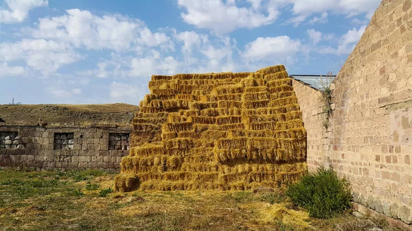 Haystack Lado Celeiro Empilhados Fardos Palha Feno Palheiro Quadrado Sob — Fotografia de Stock