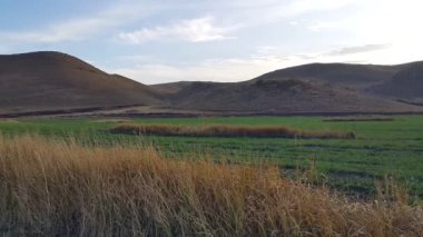 Dağların üzerinde gün batımı. Rahatlatıcı bir arka plan. Batan güneşin parlak sarı ışınları yeşil tarlaya yayıldı. Güzel mavi bir günün sonu Altın bir yaz akşamına dönüştü..