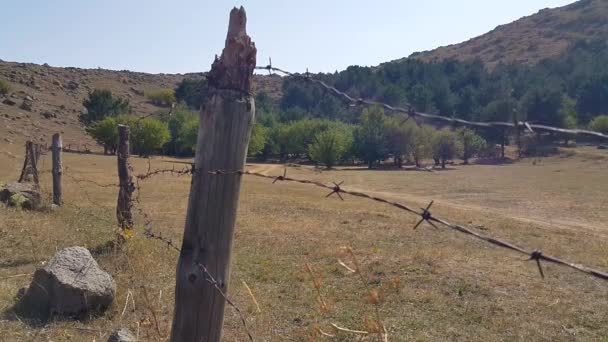 田舎の有刺鉄線フェンス木製のポスト フェンスのあるエリアには小さな森があります — ストック動画