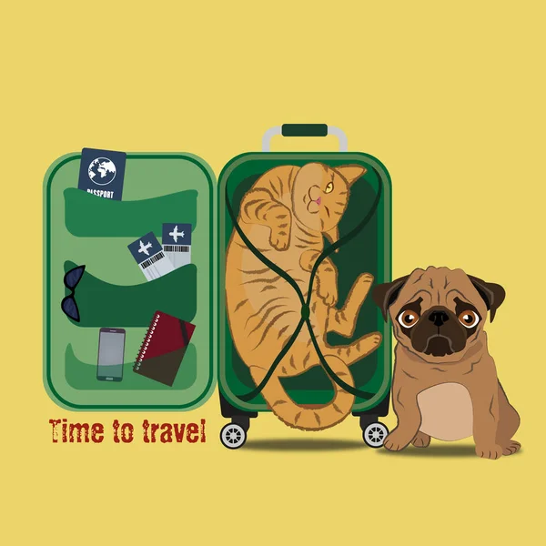 The cat in the bag for travel and pug
