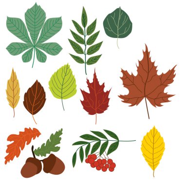 Sonbahar yapraklarıyla tasarım için ayarlandı