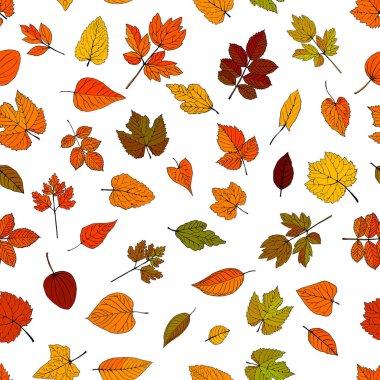 Yaz ağaçlarının yaprakları vektör olarak tarandı ve kırmızı ve sarı tonlarda renklendirildi.