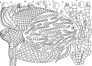 Algler ve mercanlardaki tropikal balıklar için boyama kitabı.