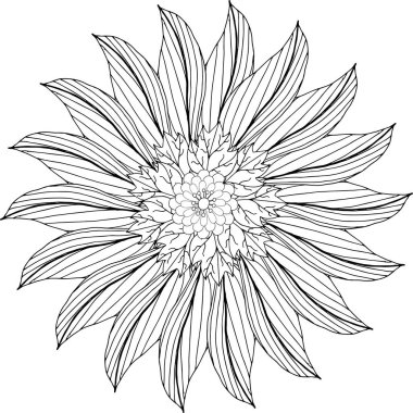 Yapraklar, çiçekler, dallar ve böğürtlenlerden oluşan boyama kitabı.