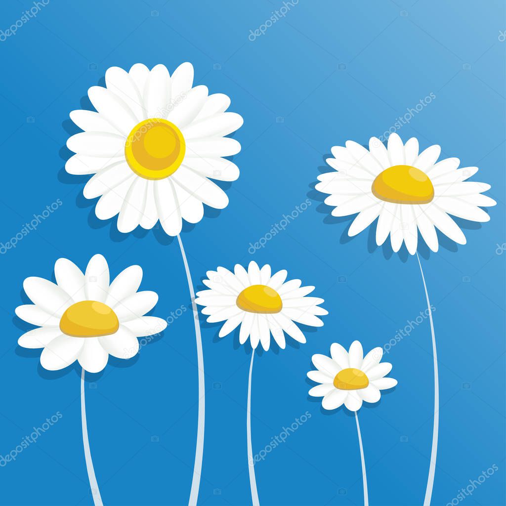 Paper flower. Chamomile. Daisies on white background. White Flowers cut out of paper. Wedding decorations. Decorative bouquet of the bride. Greeting card template. Vector illustration. 