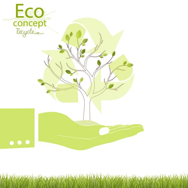 Træ Hvid Baggrund Miljøvenlig Verden Illustration Økologi Begrebet Info Grafik – Stock-vektor