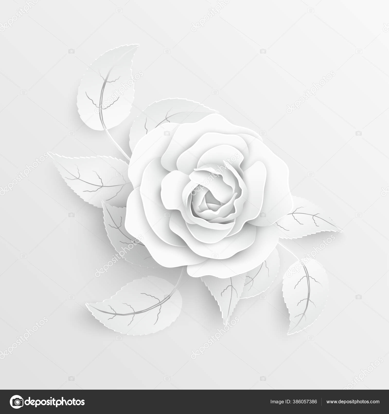 White Flower, Element of floral paper cut. Paper cut of flower