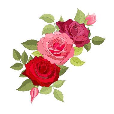 Beyaz arka plan üzerine kurulmuş klasik çiçekler. Gül zarif kartı. Güzel bir buket pembe çiçek ve yapraklar. Tebrik kartı ve düğün davetiyesi, doğum günü. Vektör çizimi. Kırmızı. 