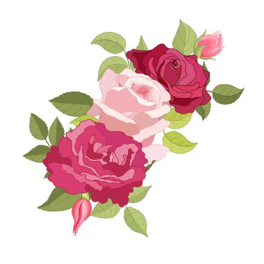Beyaz arka plan üzerine kurulmuş klasik çiçekler. Gül zarif kartı. Güzel bir buket pembe çiçek ve yapraklar. Tebrik kartı ve düğün davetiyesi, doğum günü. Vektör çizimi. Kırmızı. 